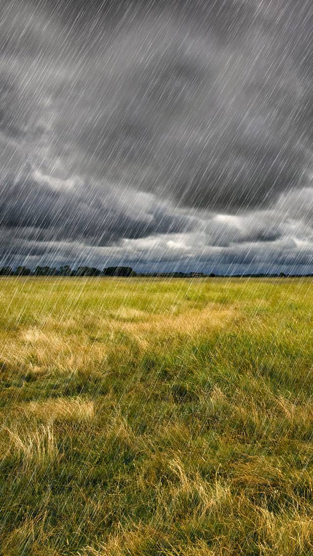 Faith Forecast showing rain weather